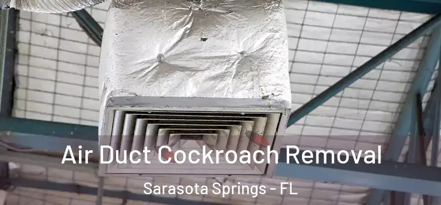 Air Duct Cockroach Removal Sarasota Springs - FL