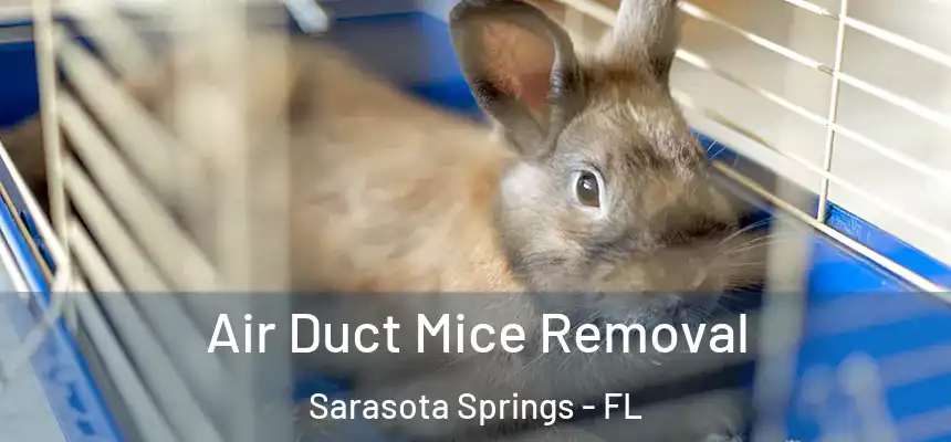 Air Duct Mice Removal Sarasota Springs - FL