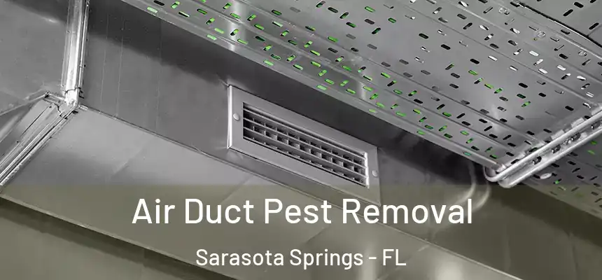  Air Duct Pest Removal Sarasota Springs - FL