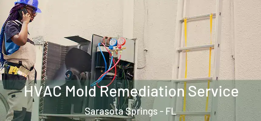  HVAC Mold Remediation Service Sarasota Springs - FL