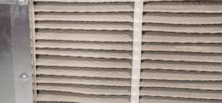 Mobile Car AC Filter Replacement in Sarasota Springs