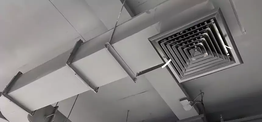 Restorative Allergy Relief Vent Cleaning – Coil, Blower & Housing Detail in Sarasota Springs