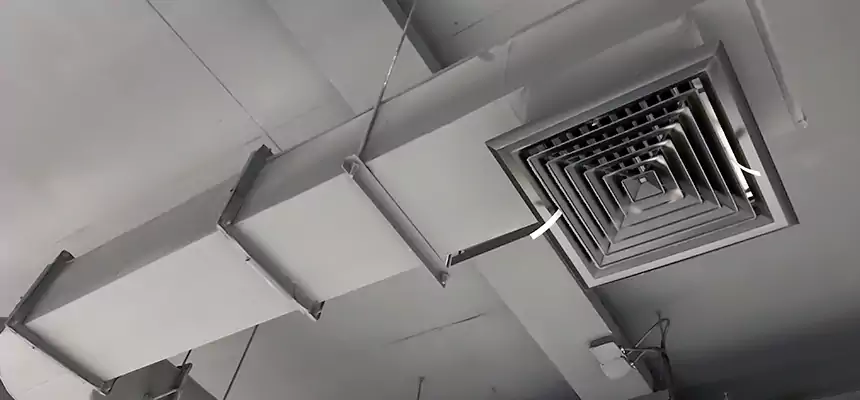 Our Pest Removal From Ducts Services in Sarasota Springs, FL