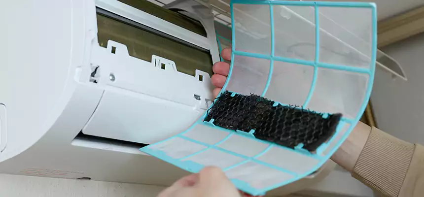 Gentle Ductwork Odor-Control Pet Dander Duct Cleaning in Sarasota Springs, FL