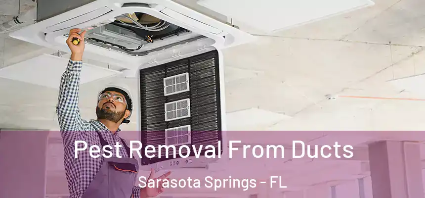  Pest Removal From Ducts Sarasota Springs - FL