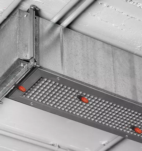 About Air Duct Cockroach Removal in Sarasota Springs, FL
