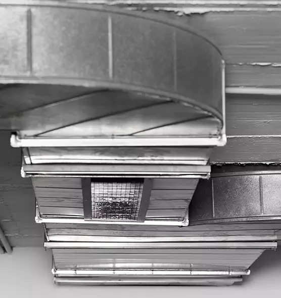 Professional Air Duct Pet Hair Removal in Sarasota Springs, FL