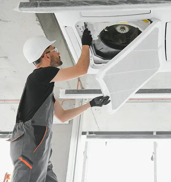 About Air Duct Rodent Removal in Sarasota Springs, FL