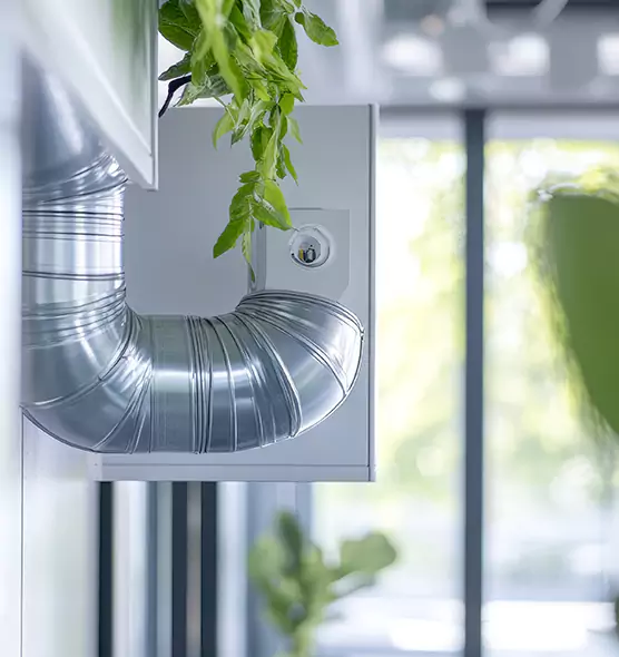 Professional Eco-Friendly Duct Cleaning Services in Sarasota Springs, FL