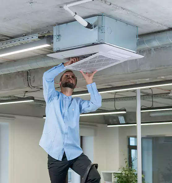 Advanced Rodent Droppings In Vents in Sarasota Springs, FL