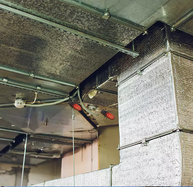 Why Homeowners & Businesses Trust Us in Sarasota Springs, FL?