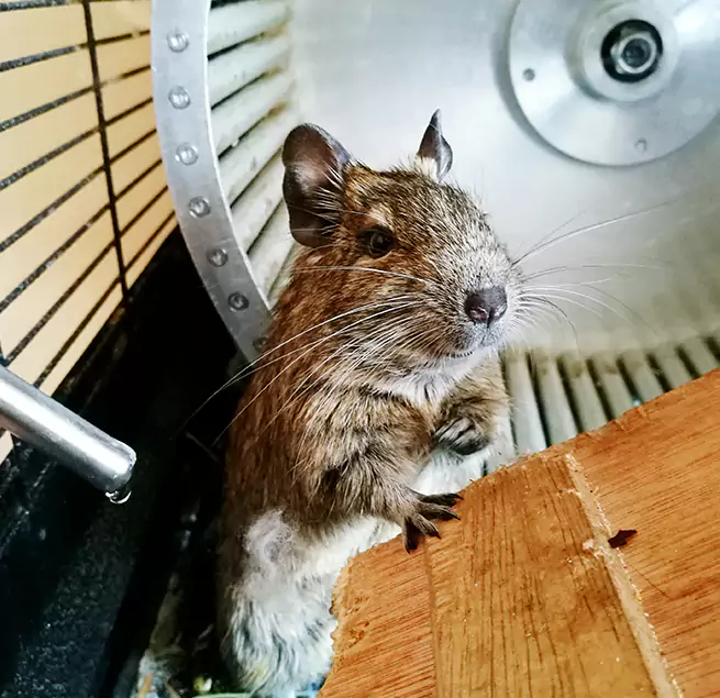 Why Homeowners & Businesses Trust Us Sarasota Springs, FL