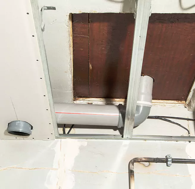 Why Homeowners & Businesses Trust Us in Sarasota Springs, FL?