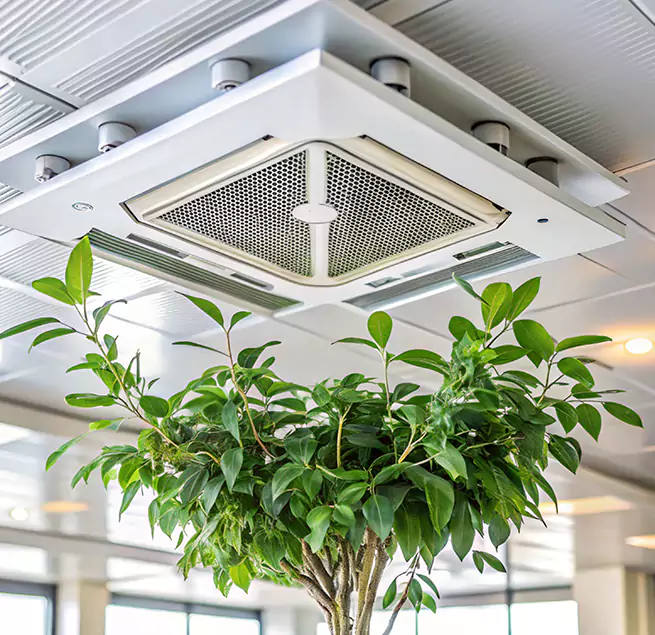 Why Homeowners & Businesses Trust Us in Sarasota Springs, FL?