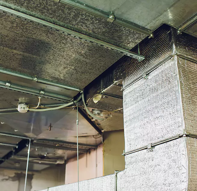 Why Homeowners & Businesses Trust Us in Sarasota Springs, FL?