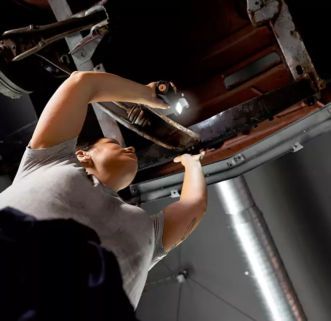 Why Homeowners & Businesses Trust Us Sarasota Springs, FL