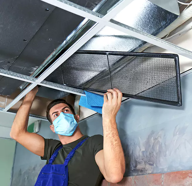 Why Homeowners & Businesses Trust Us in Sarasota Springs, FL?